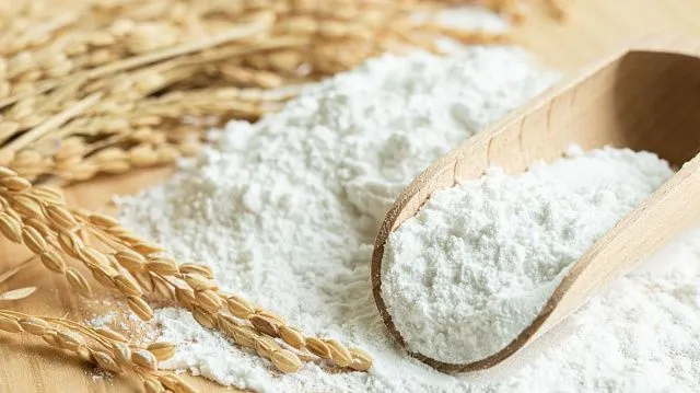 Kazakhstan increases grain and flour exports to 13.1 million tonnes