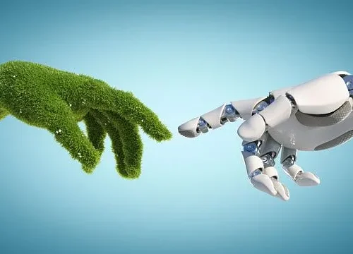 Brazil launches national digital culture programme to strengthen communication across natural biomes