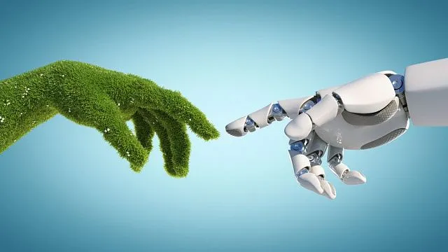 Brazil launches national digital culture programme to strengthen communication across natural biomes