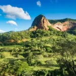 Bolivia launches satellite platform to strengthen forest monitoring