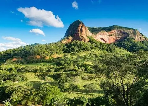 Bolivia launches satellite platform to strengthen forest monitoring