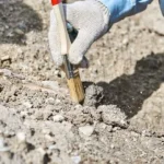 Archaeologists in Belarus discover unique amber pendants and stone maces dating from Neolithic period