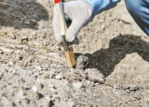 Archaeologists in Belarus discover unique amber pendants and stone maces dating from Neolithic period