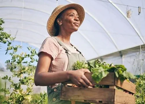 Expert: BRICS countries need to strengthen agricultural knowledge exchange
