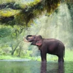 China’s wild Asian elephant population grows to nearly 400 through conservation efforts