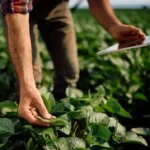 Agricultural technologies of future: automation of agriculture in Global South