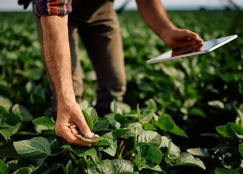 Agricultural technologies of future: automation of agriculture in Global South
