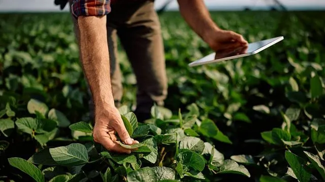 Agricultural technologies of future: automation of agriculture in Global South