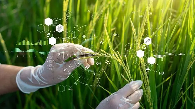 Chinese scientists develop clonal hybrid rice to advance global food security
