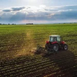 Iran forecasts 13.5 million tonnes of wheat production in 2026 as rainfed farming expansion advances
