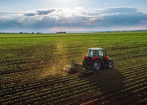 Iran forecasts 13.5 million tonnes of wheat production in 2026 as rainfed farming expansion advances