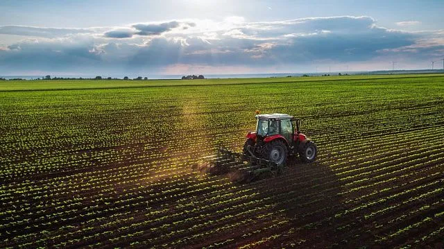 Iran forecasts 13.5 million tonnes of wheat production in 2026 as rainfed farming expansion advances