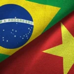 Vietnam and Brazil outline new priorities for trade and investment cooperation