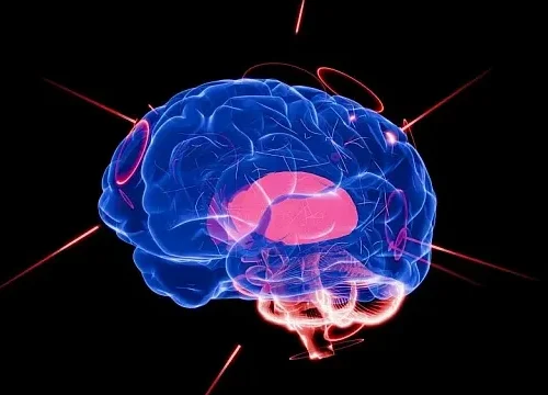 Iran creates laboratory-based artificial brain using living neurones