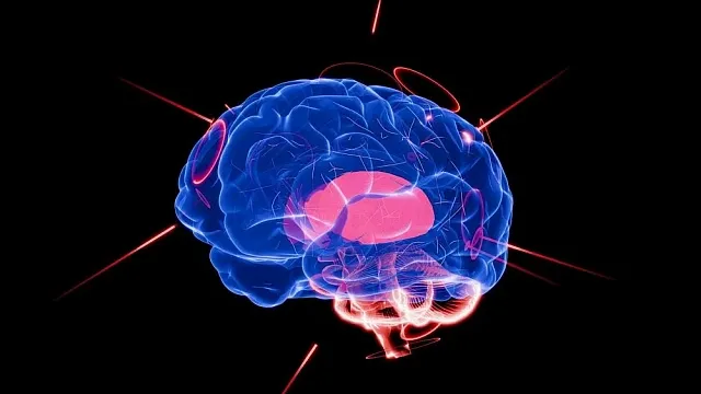 Iran creates laboratory-based artificial brain using living neurones