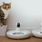 China expands AI-powered pet technology with innovative smart devices
