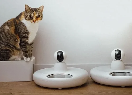 China expands AI-powered pet technology with innovative smart devices