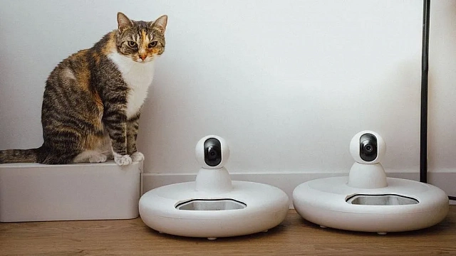 China expands AI-powered pet technology with innovative smart devices