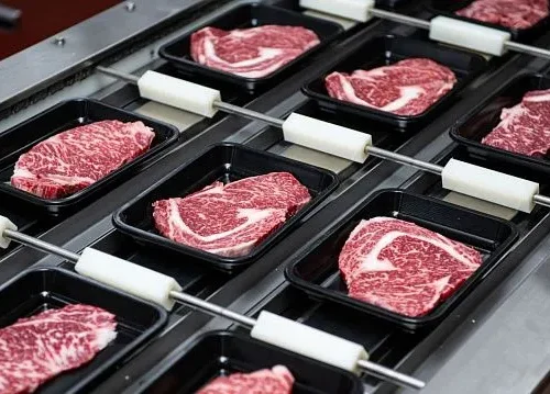Egypt increases red meat production to 600,000 tonnes and expands dairy output