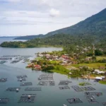 Indonesia to launch aquaculture programme across 40,000 villages to boost seafood production and exports