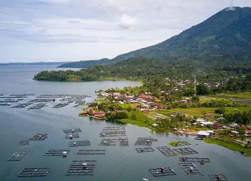 Indonesia to launch aquaculture programme across 40,000 villages to boost seafood production and exports