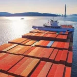 Representatives of BRICS countries to discuss development of port cities at forum in Russia