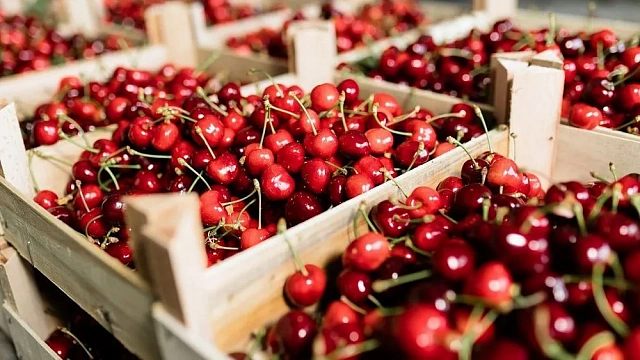South Africa to supply cherries to China