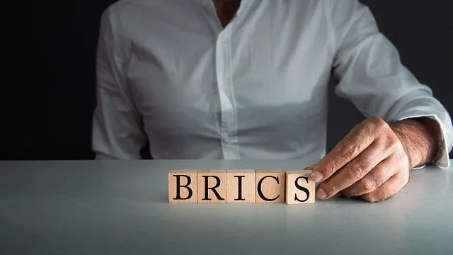Indian Ambassador to Russia: BRICS cooperation should focus on human-centred development