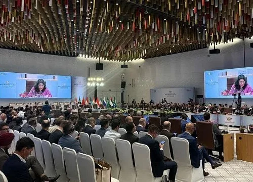 BRICS Business Council calls for stronger practical business cooperation